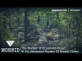 The Murder Of Elizabeth Riser The Attempted Murder Of Brandi Hicks Morbid Podcast