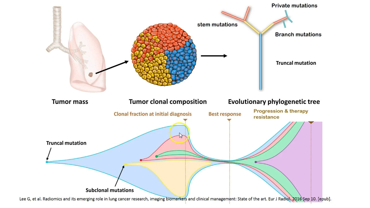 Multiparametric Imaging of Tumor Biology