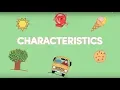 K12 Grade 1 - Science Characteristics of the Things Around Us