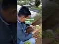 Download Lagu Wasiat seorang kekasih Allah yg harus kita ingat setiap sa,at