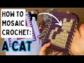 How To Mosaic Crochet A Cat Beginner Friendly Crochet Tutorial