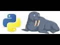 Walrus Operator Python 3 8 0 New Features in Python Basic Python Programming