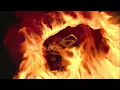 ICE BECKZIN DA FLOR - LUANZINHO DO RECIFE - REMIX BREGA FUNK