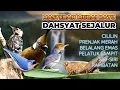 Download Lagu #3 MASTERAN MURAI BATU FULL ISIAN TEMBAKAN DAHSYAT UNTUK TROTOL, PASTOL, DEWASA