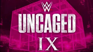 Imminent Danger Cage Lowering WWE Uncaged IX