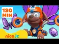 Download Lagu PAW Patrol Bug Rescues \u0026 Adventures! #2 🦋 2 Hours | Nick Jr.