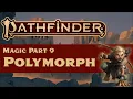 Pathfinder 2e Magic Part 9 Polymorph and Battle Forms