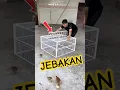 Download Lagu Perangkap Ini Pasti Dapat | Smartest Trap Ever