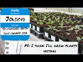 Quit Your Job Grow Sell Plants Instead