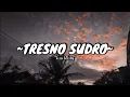 Download Lagu Esa Risty - Tresno Sudro (abote wong nandang tresno) || LIRIK