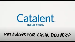 Pathways for Nasal Delivery