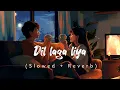 Dil Laga Liya (Male Version) Lofi || Slowed Reverb || lofi world