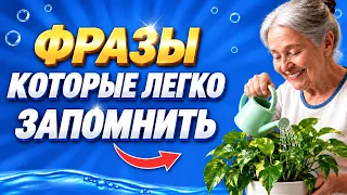 150 АНГЛИЙСКИХ ФРАЗ для общения  | Английский с нуля | Учим английский на слух для начинающих