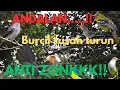 ANDALAN‼️Suara pikat burcil andalan saat gak mau turun