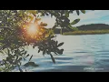Solar Fields- Echostream 4K