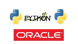 How connect to an Oracle database from Python CSV data from Oracle database using Python