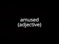 amused adjective