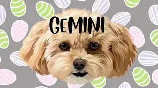 Download GEMINI 🖤 THE LEVELING UP OF A LIFETIME! MP3