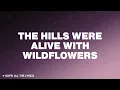 Dolly Parton - Wildflowers (Lyric Video)