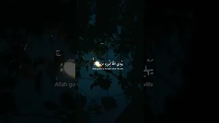 نور على نور سورة النور شريف مصطفى 