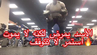 الأسد يمرض لكنه لا يموت  استمر لا تتوقف    دندنها