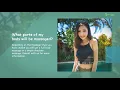Best Asian Massage In Pompano Beach Premier Asian Massage