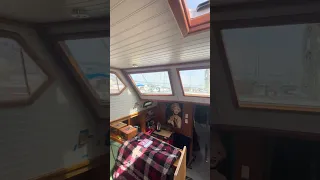 Making her morning rounds #fyp #dream #boat #pets #doberman