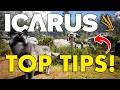 Don t Miss these Top Beginner Tips in Icarus to get you Started Fast in 2026
