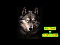 Download Lagu SOULJAH - CUMA KAMU