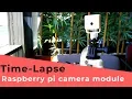 Raspberry Pi Time-Lapse and Setup Camera Module
