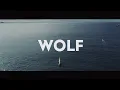 Download Lagu Chinese Man feat. ASM - Wolf Live (Natura'Live 2019)