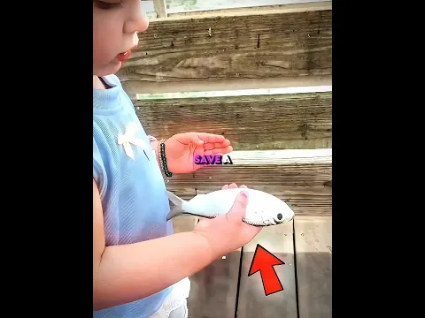 This Little Girl Fought To Save A Tiny Fish 😲🤯