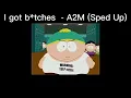 I got b*tches - A2M (Sped up)