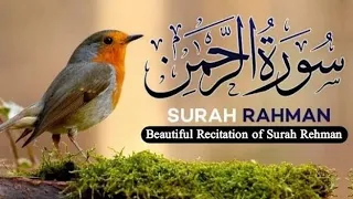 Download Surah Rahman ( Ar-Rehman ) سورہ رحمن| Beautiful Recitation Of Surah Rahman MP3