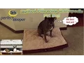 Serta Perfect Sleeper Quilted Pillowtop Orthopedic Pet Bed