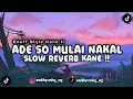 Lagu DJ ADE SO MULAI NAKAL X MASHUP SLOW REVERB KANE ENAFF STYLE VIRAL TIKTOK 2025 !!