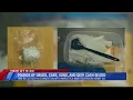 Henry County authorities arrest Axton pair following undercover narcotics investigation