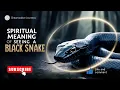 Download Lagu Spiritual Meaning of Seeing a Black Snake: Transformation \u0026 Hidden Power