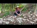 Download Lagu Rare wild mushrooms｜同樣是菌子，為何雞樅菌市場很難買？ 阿婆撿一籃子，做3種煮法｜ Food 广西 美食｜ 玉林阿婆