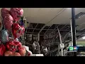 Dollar Store roof collapses during storm in Citrus Heights