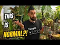 I Have 600 Plants And These Ugly Ones Are Some of My Favourites