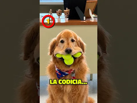5 FOTOS Que Te Dejarán PENSANDO…🤔