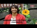 Wow Shaheer Sheikh Akui Ayu Ting-Ting Pacarnya! | Pesbukers | ANTV Mp3 Song Download