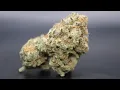 White Hot Screamsicle By HeadyzOfficial STRAIN REVIEW