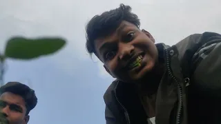 Matar ke khet me maja