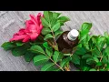 Massage Therapy Salt Lake City