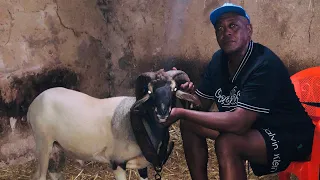 حوار مع البنڤي الدينا بطل تونس 2008 