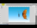 Flash Cs5 Nested Movie Clips