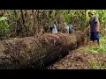 Download Lagu Penemuan langka..!! Kayu ulin ribuan tahun terbengkalai