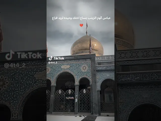 ⁣عباس كوم لزينب بساع  مرتضى حرب #الشام